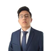 Ingeniero en sistemas titulado, con conocimiento en desarrollo de software y aplicaciones web, ofrece clases online a estudiantes.